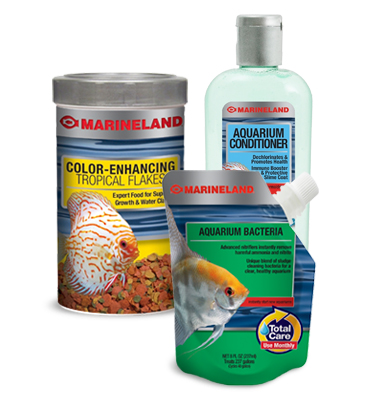 Tropical fish hotsell supplies online